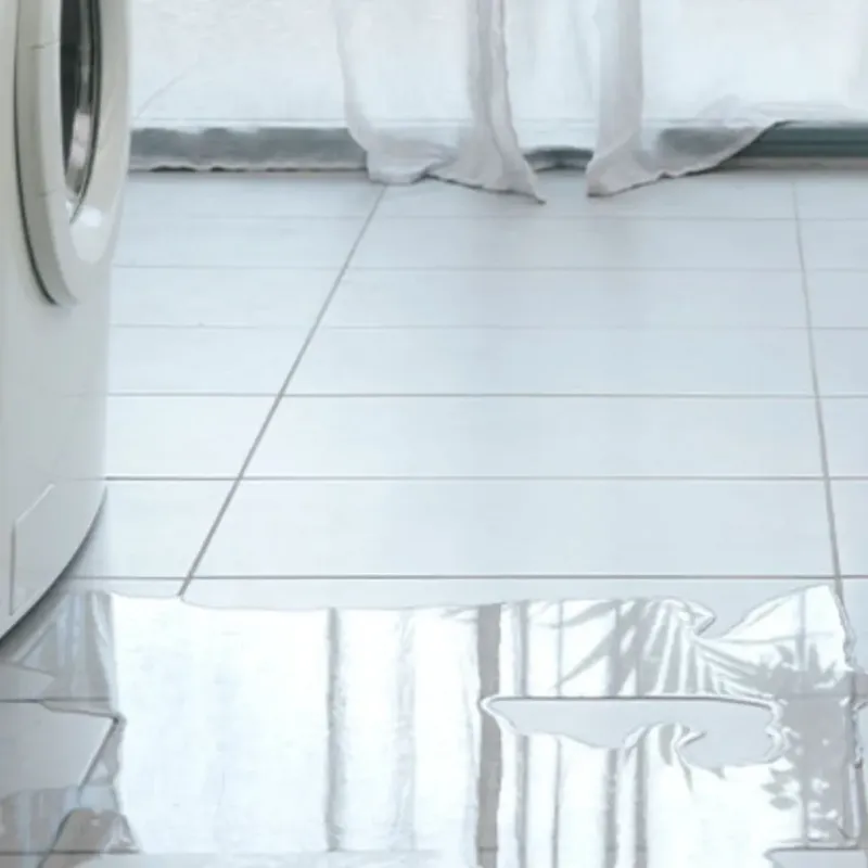 Appliance Leak Cleanup in Thomasville, GA