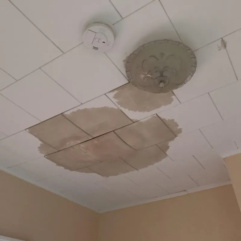 Ceiling Water Damage Repair in Thomasville, GA