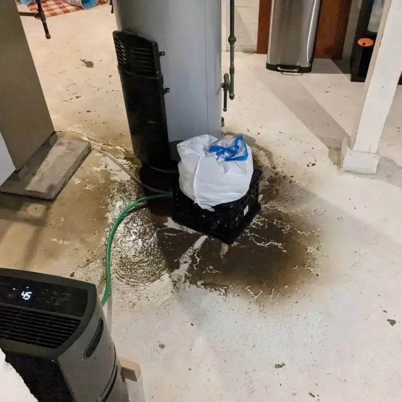 Sewage Backup Cleanup Service in Thomasville, GA